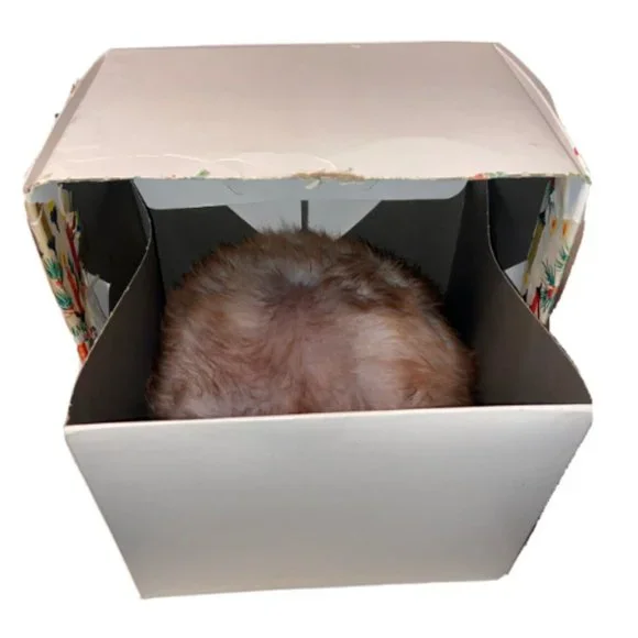 Fur Hat Vintage Brown in Box 50s 60s Mink? Excellent Condition - Picture 12 of 13